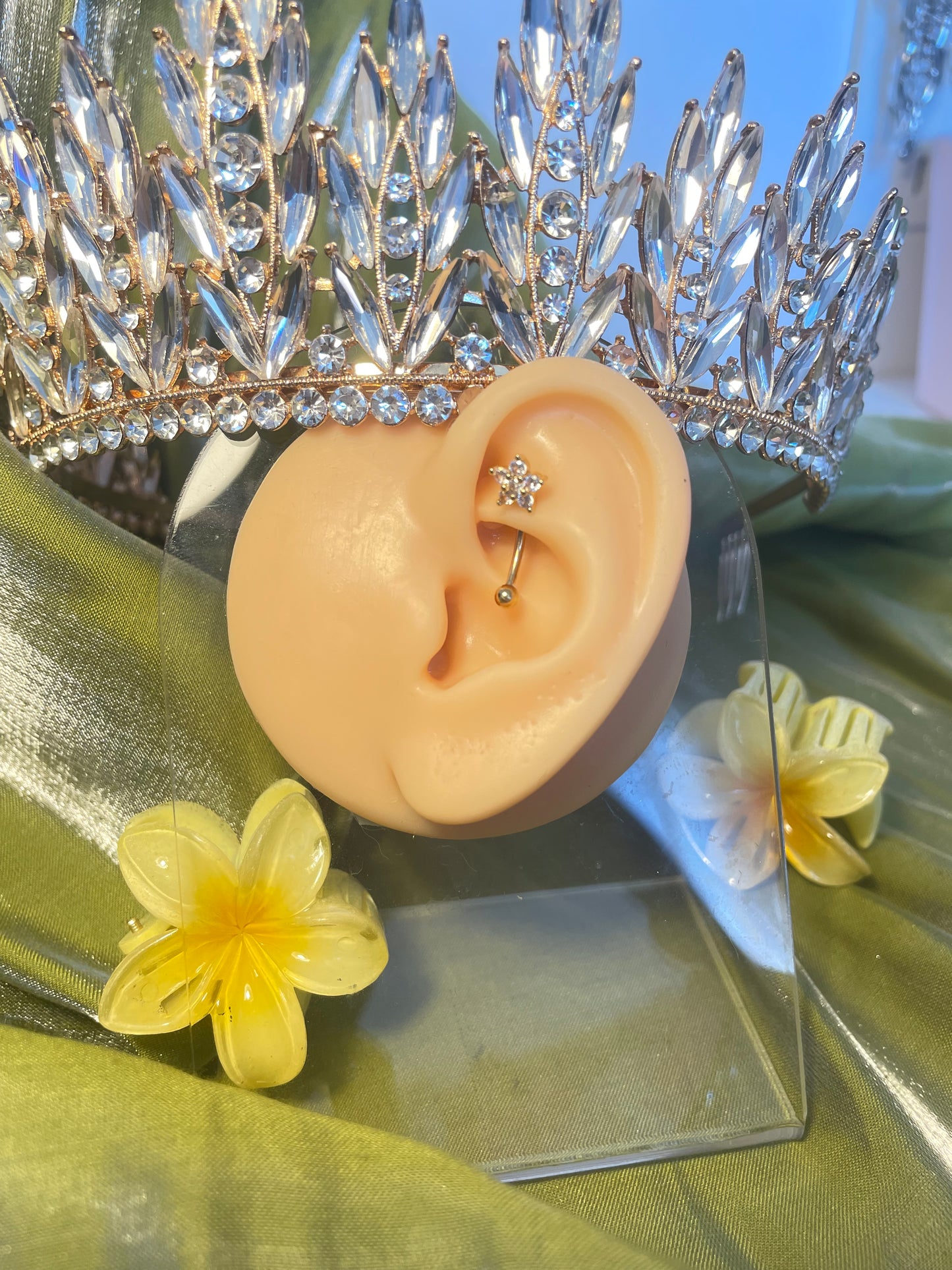 Piercing Iris🌸☀️
